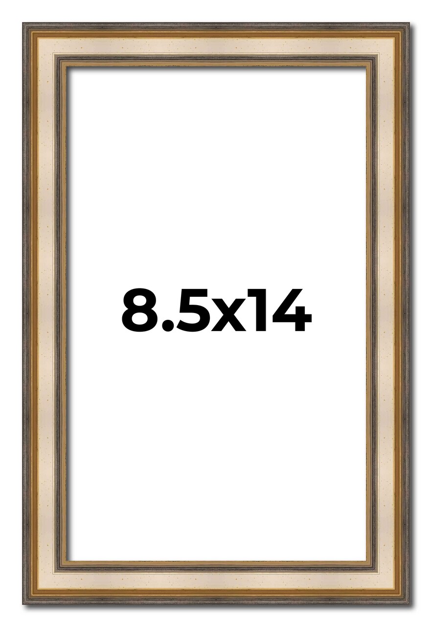 8.5x14 Refined Picture Frame with UV-Resistant Acrylic & Acid Free Backing, Available in 5 Finishes - Black, Blue, Gold, Silver, and White